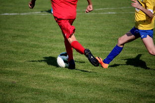 星空入口官网-世界马拉松大满贯赛事上海站开跑，世界马拉松大满贯赛事上海站开跑时间